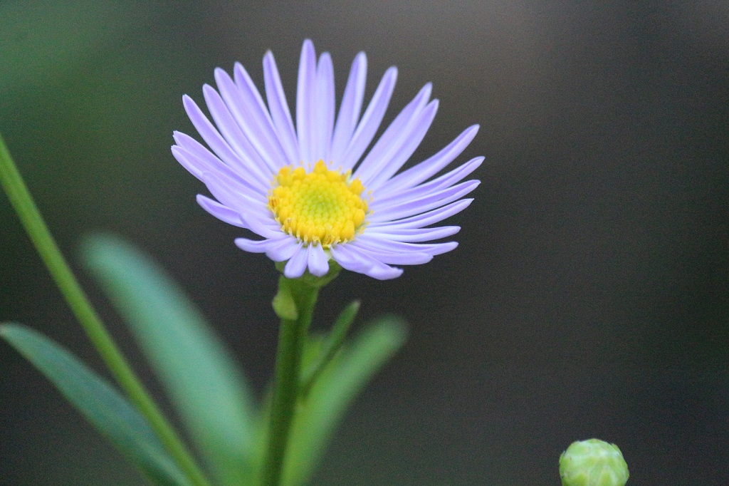 yomena8.21 yomena8.21